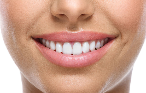 img-paniz-servizi-10